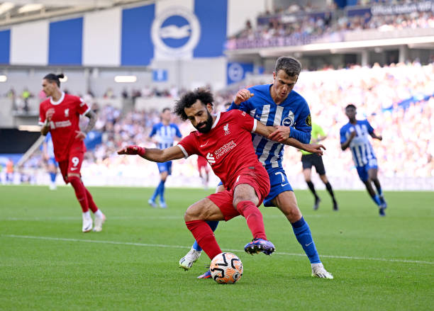 要大量的球 要大量的球